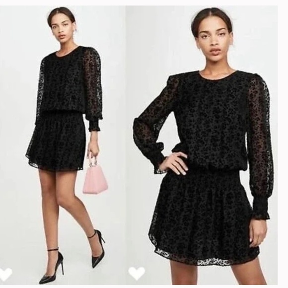Parker Dresses & Skirts - Parker velvet long sleeve mini dress, size XS